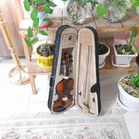 ویالنtfاستیودنت۴/۴ نو نو