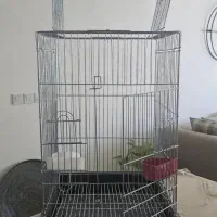 قفس پرنده