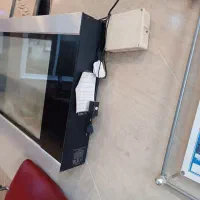 اکواریوم دیواری