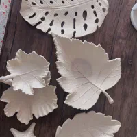 ظروف پذیرایی