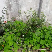 اجاره-اتاق-مرکز-شهر-با-امکانات-کامل