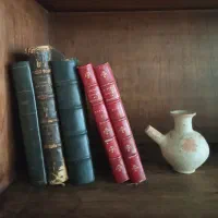 پنج جلد کتاب جلد چرم فرانسه