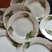 12عدد میوه خوری لب طلا کمیاب