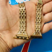 بندمجلسی اپل واچ