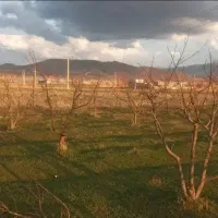 فروش-باغ