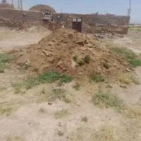 کودحیوانی گوسفند