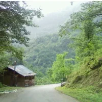 زمین مسکونی ماشاتوک ۱۶۸ متر قابل ساخت