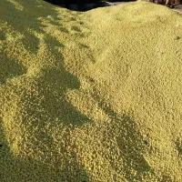 گوگرد گرانول 99درصد