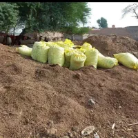 کود حیوانی برای باغچه
