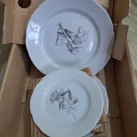 ظروف پذیرایی