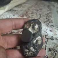 شهاب سنگ ، فسیل