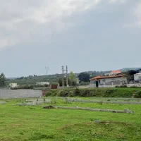زمین ۱۵۰ متری پلاک ۲ جنگل