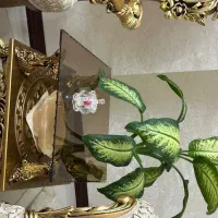 مبلمان سلطنتی استیل