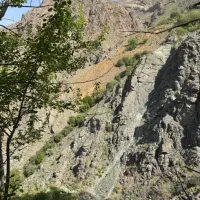 همراه کوهنوردی و همنورد