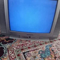 تلویزیون