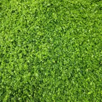 انواع سبزی خردشده آماده