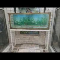 آکواریوم ۱۵۰ سانتر