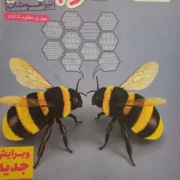 کتاب علوم خیلی سبز نهم (تیزهوشان)