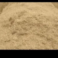 کاه گندم دیم درجه یک