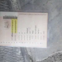 ال نود مدل ۸۸نوک مدادی