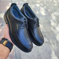 تیاگو تمام چرم طبیعی(شرکت همپا)