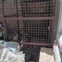 قفس بزرگ برامرغ کفتر یاحیوانات دیگه