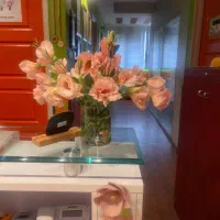 نیروی نظافت و خدمات (خانم )