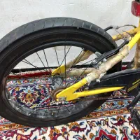 ویوا