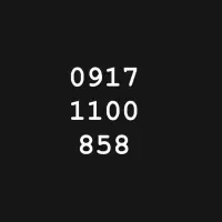 09171100858