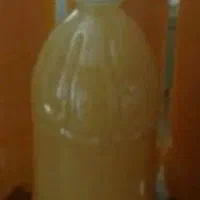ابغوره
