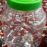 پت یک بار مصرف