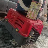 باکس سگ