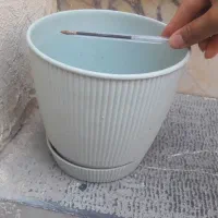 گلدان|گل و گیاه طبیعی|مشهد, کوی المهدی|دیوار