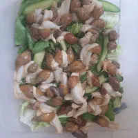 حلزون برای جوانسازی و مشکلات پوستی
