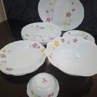 سرویس غذاخوری ظروف ارکوپال دسینی