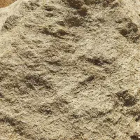 کاه گندم درجه یک