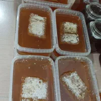 عسل طبیعی ارگانیک
