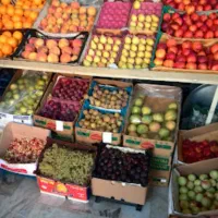 هاپیر میوه فروشی