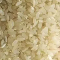 برنج
