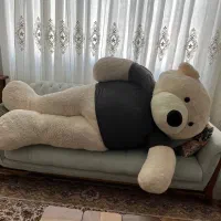 خرس ۲/۵ متری تمیز و سالم