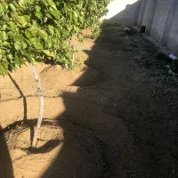 شخم  با تیلروسمپاشی