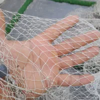 دوعدد سالی کولی و ماهی سفید
