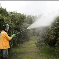 سمپاشی گیاه مزارع باغات