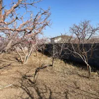 دماوند جابان زمین باغ۲۵۰متر کنتوربرق+آب خریدازمالک