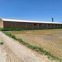 گاوداری با پروانه فعال