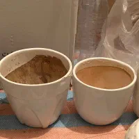 گلدان با زیر گلدان