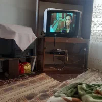 یک عدد کشتی کار زندانی‌ها با جنس چوب