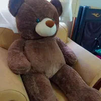 خرس یک متری نو