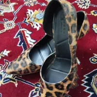 کفش های مجلسی