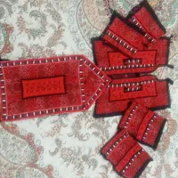 زیاستین کاملا دست